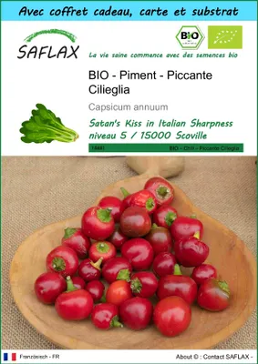 Image de SAFLAX Ensemble-cadeau - Piment - Piccante Cilieglia - 10 graines - Capsicum