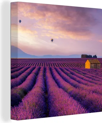 Produktbild von OneMillionCanvasses® - Leinwandbilder - Bild auf Leinwand Wandbild Leinwandbild Lavendel - Heißluftballon - Berg - Lila, 90x90 cm, Kunstdruck Wandkunst Gemälde auf Holzrahmen - Malereien - Wandschmuckes