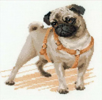 Obrázok produktu pre Riolis počítané křížkové vyšívání Kit Pug Dog