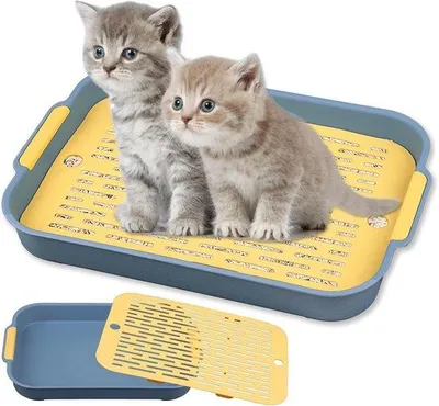Image de Toilettes pour petits animaux à double rangée, pour un environnement propre et sûr
