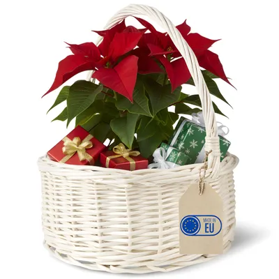 Produktbild von Creative Home Osterkorb Oval Weidenkorb mit Henkel Cremeweiß | 30x30x32 cm (+/- 2 cm) | Garten Gartenkorb