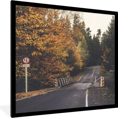 Produktbild von MuchoWow® Gerahmtes Poster Bäume - Straße - Herbst 40x40 cm - Poster mit Schwarzem Bilderrahmen Wandposter Rahmen Foto Bilder - Mit Rahmen - Wanddekoration Schlafzimmer