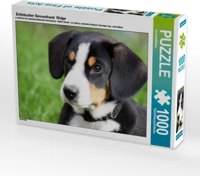 Produktbild von CALVENDO Puzzle Entlebucher Sennenhund Welpe | 1000 Teile Lege-Größe 64x48cm Foto-Puzzle für glückliche Stunden