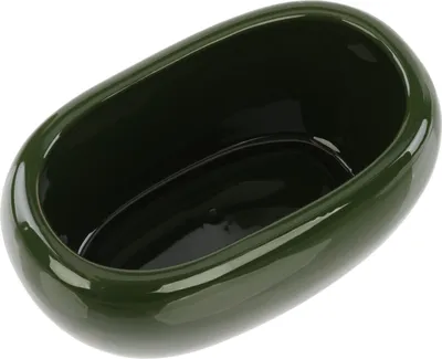 A dark green ceramic bowl is shown from a slightly elevated angle against a white background.