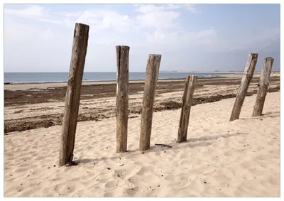 Produktbild von Wallario Premium Glasbild, freischwebende Optik, kräftige Farben, Größe 100 x 70 cm Motiv Sandstrand mit Holzpfählen am Atlantischen Ozean