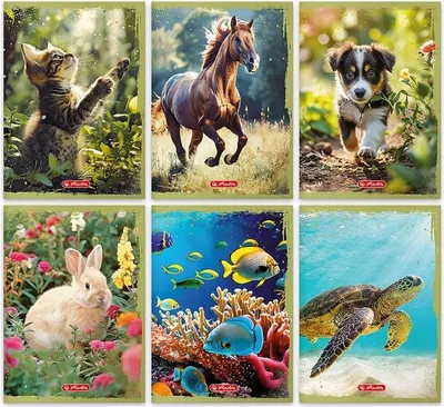 Produktbild von HERLITZ ANIMALS NOTIZBUCH A5/32K LINIERT MIT RAND 1 Stk.