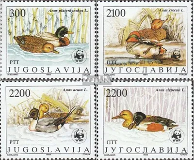 Produktbild von Briefmarken Jugoslawien 1989 Mi 2328-2331 (kompl.Ausg.) postfrisch Enten