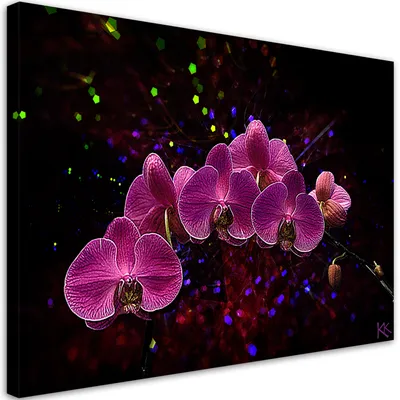 Produktbild von Leinwandbild Orchidee auf dunklem Hintergrund 90x60 Feeby Violett bild für die wand bereit zum aufhängen