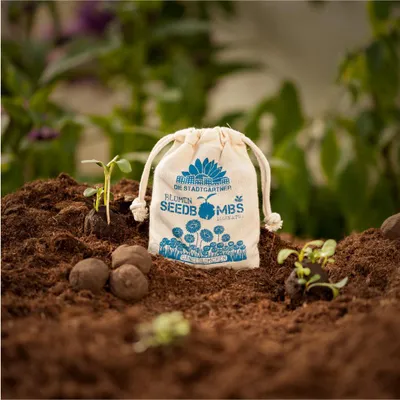 Image de Bombes à graines Marguerites dans un sac en jute - 8 boules de graines