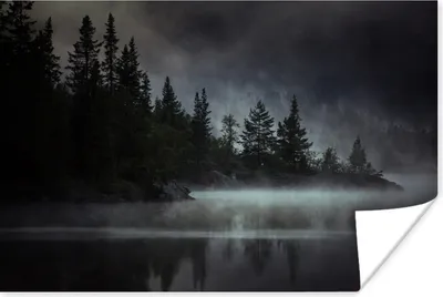 Produktbild von MuchoWow® Poster Wald - Nebel - Schwarz - Weiß 60x40 cm - Schlafzimmerdekoration