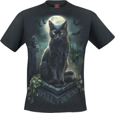 Produktbild von Spiral T-Shirt Herren Spell Bound schwarz L