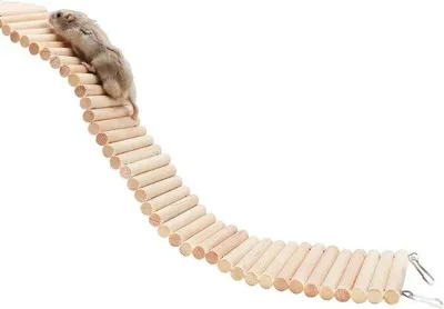 Produktbild von Holz-Klettertreppe für Kleintiere