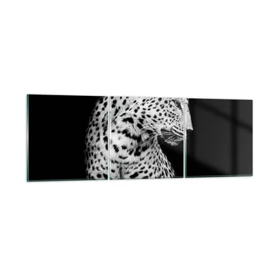 Produktbild von Bilder auf glas - 3 Teile - Leopard Panther Katze - 150x50cm - Glasbilder - Wandbilder - Bilder - zum Aufhängen bereit - Wanddekoration aus Glas - Glas Bilder - Wandbild auf Glas - GCA150x50-4919