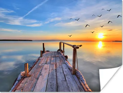 Produktbild von MuchoWow® Poster Wasser - Steg - Vögel - Sonnenuntergang - Horizont 120x90 cm - Wandbild