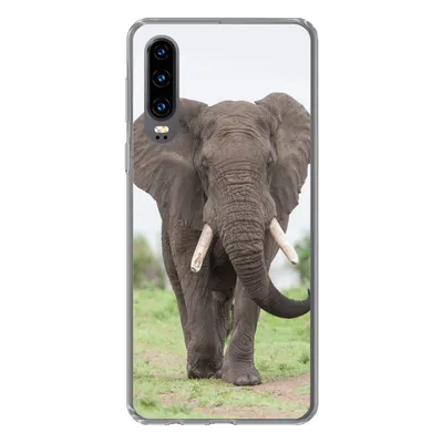 Produktbild von MuchoWow® Handyhülle Schutzhülle Hülle für Huawei P30 Elefant - Tiere - Gras - Natur Silikon Softcase Handy Hülle - Kartenbesitzer