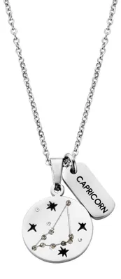Produktbild von CO88 Collection Zodiac 8CN-26061 Stahlkette mit Anhänger – Sternzeichen Steinbock – Länge 42 + 5 cm – silberfarben
