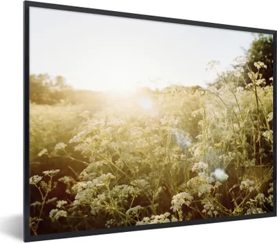 Produktbild von MuchoWow® MuchoWow® Gerahmtes Poster Blumen - Weiß - Frühling 80x60 cm - Poster mit zchwarzem Bilderrahmen - Schwarzem - Mit Gestell