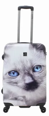 Produktbild von Saxoline Spinner 4 Rollen TSA Gr. M 67 cm White Cat