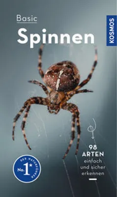 Image de Basic Spinnen