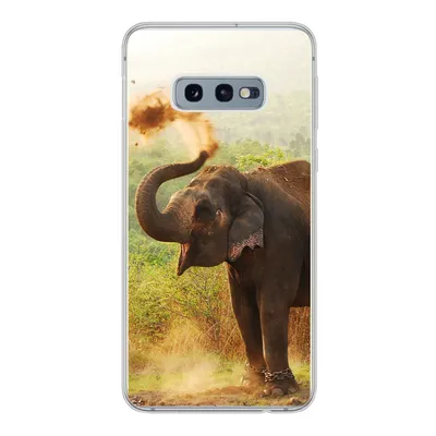 Produktbild von MuchoWow® Handyhülle Schutzhülle Hülle für Samsung Galaxy S10e Elefant - Tiere - Wald - Bäume Silikon Softcase Handy Hülle - Handy