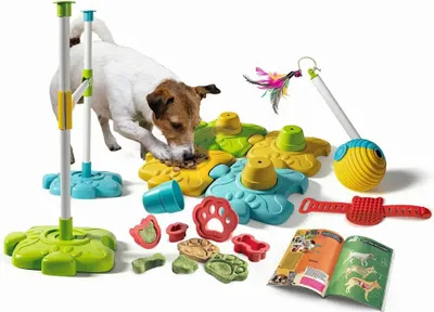 Produktbild von Clementoni Galileo Dein Haustier - Aktivitäts-Set