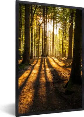 Produktbild von MuchoWow® Gerahmtes Poster Sonne - Bäume - Wald - Landschaft - Natur 60x90 cm - Poster mit Schwarzem Bilderrahmen Wandposter Rahmen Foto Bilder - Kunst