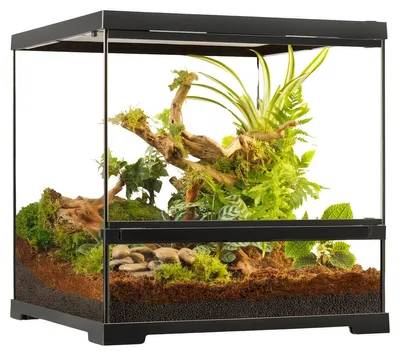 Zdjęcie produktu dla Terrarium Exo Terra Pro, wymiary: 45 x 45 x 45 cm