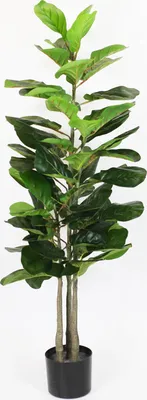 Produktbild von Künstliche Pflanze 115 cm Ficus Lyrata Kunstpflanze