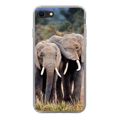 Produktbild von MuchoWow® Handyhülle Schutzhülle Hülle für iPhone SE 2020 Elefant - Tiere - Bäume - Natur Silikon Softcase Handy Hülle - Kartenbesitzer