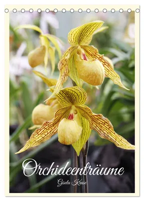 Produktbild von Orchideenträume (Tischkalender 2027 DIN A5 hoch), CALVENDO Monatskalender