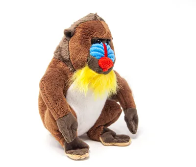 Image de Cornelissen - Doudou - Mandrill - 17 cm