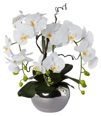 Produktbild von Kunstpflanze Phalaenopsiarrangem groß Höhe: 55 cm weiß