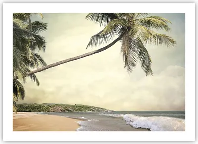Produktbild von Poster - Poster ohne Rahmen - Palme Strand Insel - 70x50 cm - Wand Bild - Wanddeko - Wandbilder - Kunstposter - Wandposter - Bilder - Kunstdruck - Wanddekoration - Wandbild - P2XAA70x50-4154