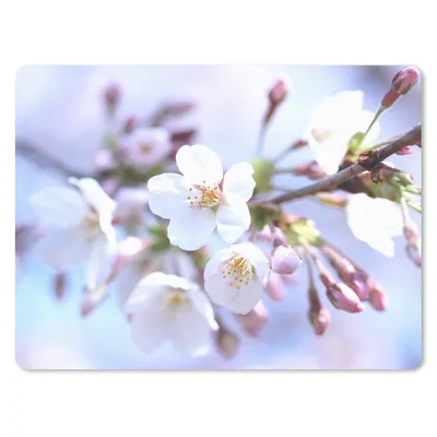 Produktbild von MuchoWow® Mauspad Mousepad Blumen - Sakura - Zweig 23x19 cm - Mousepads - Maus Mat - Pad - Mausunterlage - Schreibtischunterlage - Mauspad