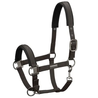 Produktbild von Eskadron Essence Pin Buckle Halfter