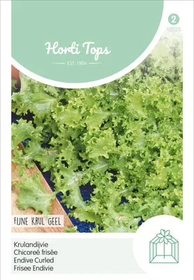Produktbild von Frisee Endivie Endivette | Endiviensalatsamen von Hortitops