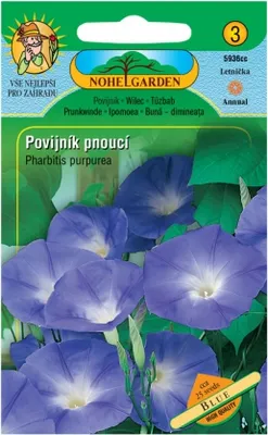 Immagine prodotto di Portulaca, blu