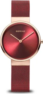 Image de Montres Bering 14531363
