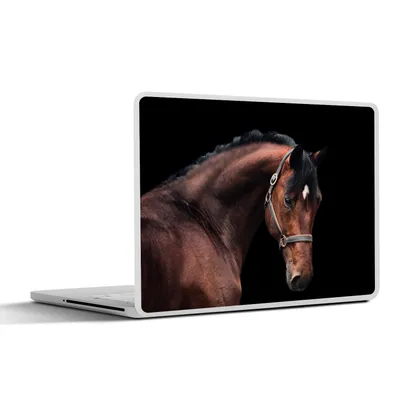Produktbild von MuchoWow® Laptop Aufkleber Sticker Cover Pferd - Leicht - Halfter 36.5x27.5 cm - Laptop-Sticker