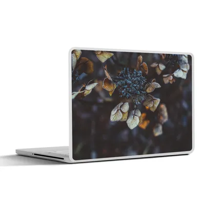 Produktbild von MuchoWow® Laptop Aufkleber Sticker Cover Blumen - Strauch - Nacht 36.5x27.5 cm - Laptop-Sticker