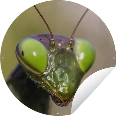 Produktbild von MuchoWow®