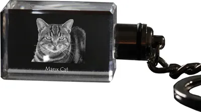 Obrázok produktu pre Manx - Krištáľový prívesok s fotografiou mačky, svietiaci prívesok, jedinečný darček od značky Art-Dog
