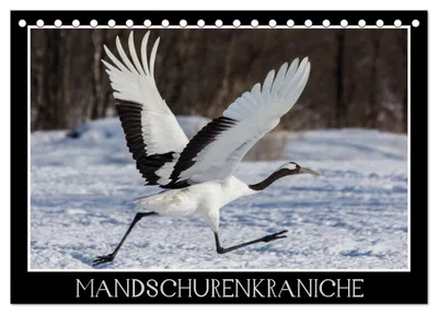 Produktbild von Mandschurenkraniche (Tischkalender 2027 DIN A5 quer), CALVENDO Monatskalender