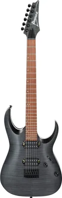 Produktbild von Ibanez RGA42FM-TGF