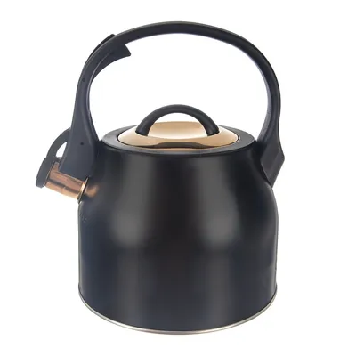 Image de ORION Théière avec sifflet, 3 l, noir/or rose ORION 113520