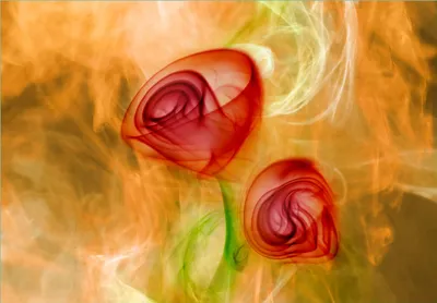 Produktbild von Wallario Fototapete Vliestapete, seidenmatte Oberfläche, einfache Verarbeitung, Größe 200 x 140 cm, Motiv Abstrakte Rosen