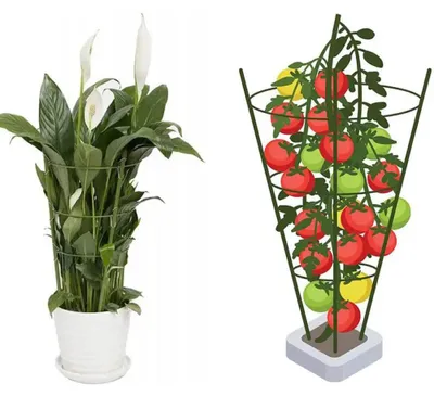 Obrázok produktu pre Opora Pre Rastliny 120Cm Bradas Tyrp120
