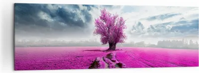 Produktbild von Bild auf Leinwand - Leinwandbild - Heidefeld Baum Wolken Landschaft - 160x50cm - Wand Bild - Wanddeko - Leinwanddruck - Bilder - Kunstdruck - Leinwand bilder - Wandkunst - AB160x50-2547