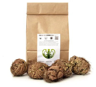 Produktbild von YAKEBA Rose von Jericho 5er-Sparset XS – Selaginella lepidophylla, Auferstehungspflanze, Naturdeko für Terrarium & Flaschengarten, handverlesen