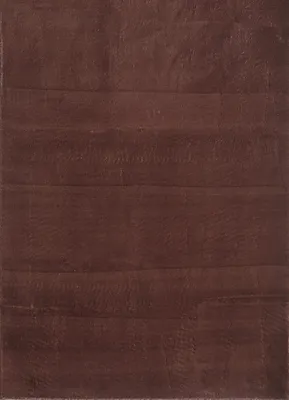Produktbild von Catwalk anti-rutsch teppich kurzflor rechteckig 200x300cm braun 2600